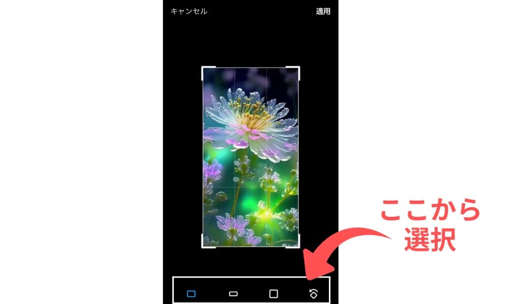 iPhoneでの画像サイズ（アスペクト比）の変更方法