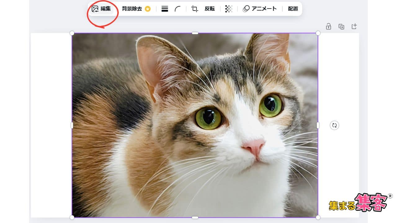 【Canva】「ぼかし」のやり方は？写真やイラスト加工で簡単にできる方法